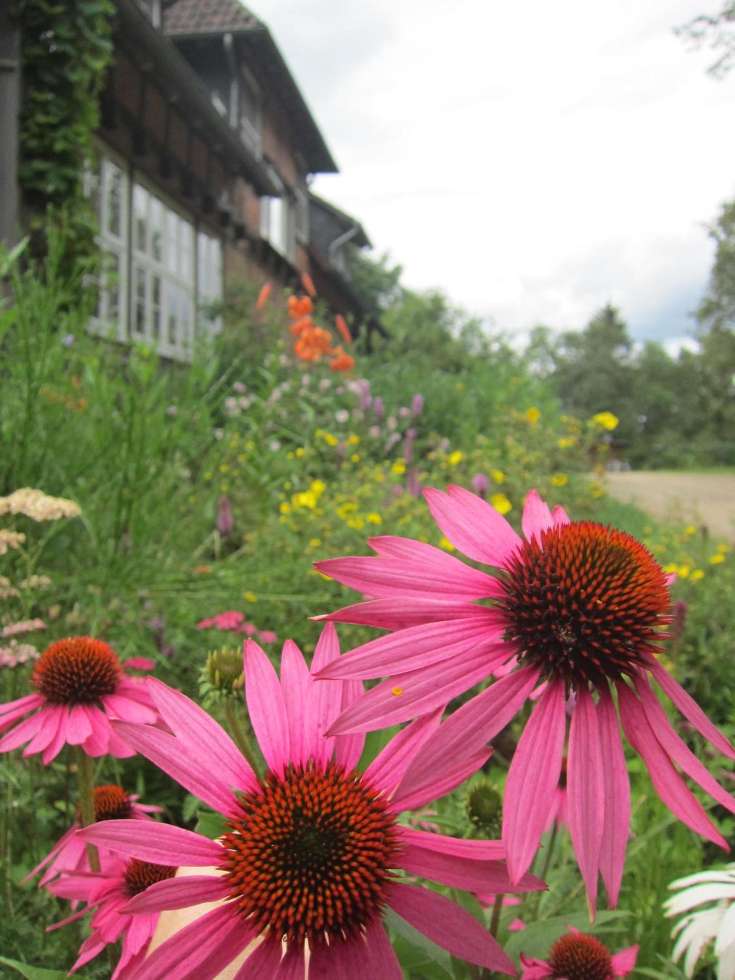 Bed and Breakfast Haus Heidetal Bispingen Exterior foto