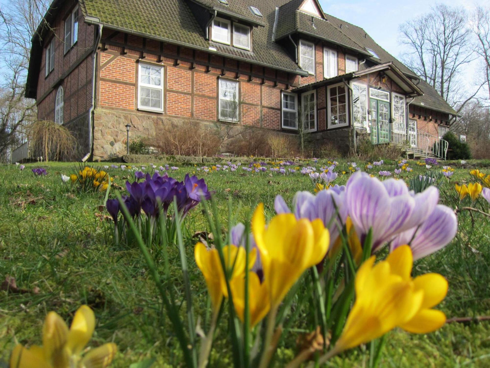 Bed and Breakfast Haus Heidetal Bispingen Exterior foto